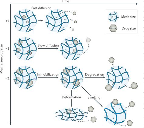 Hydrogel Drug Delivery