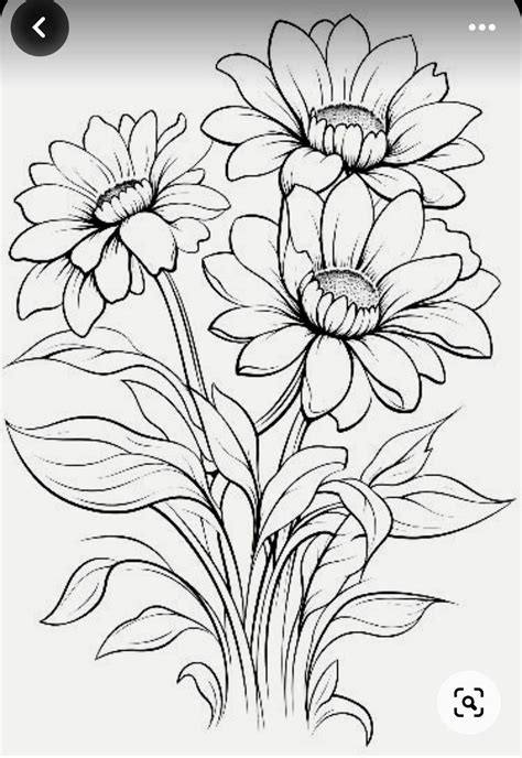 Pin By Annatal On Szkice In Flower Drawing Flower Art Drawing