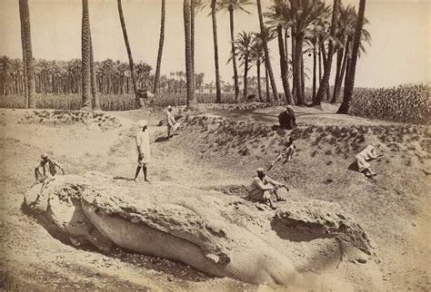 Colossus Of Ramesses Ii At Memphis Egypt Museum