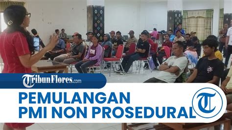 Tidak Miliki Izin 75 PMI Non Prosedural Di Manggarai Barat Dipulangkan