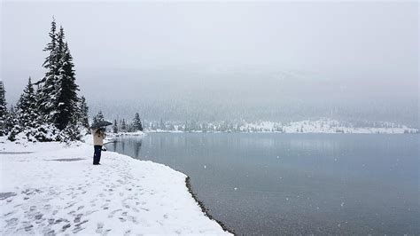 Bow Lake Winter Wonderland Photograph by William Slider - Fine Art America