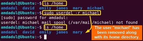 The Userdel Command In Linux Practical Examples