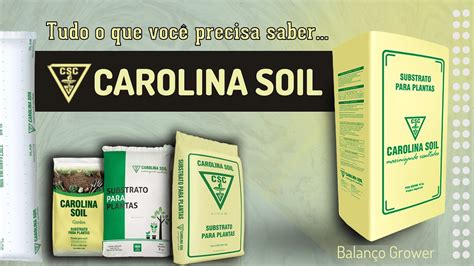 Aprenda A Escolher O Substrato Carolina Soil Ideal Para O Seu Cultivo