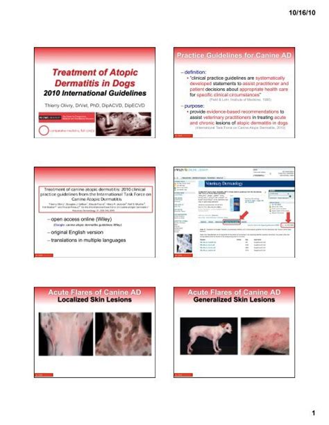 Treatment of Atopic Dermatitis in Dogs (2010 International Guidelines)