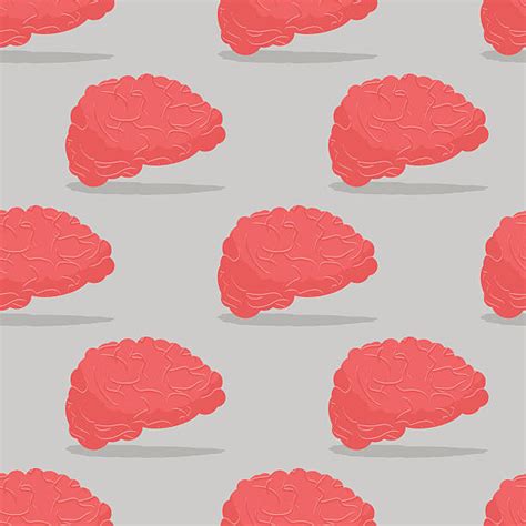 100 Anatomy Backgrounds Pink Human Brain Stock Illustrations Royalty Free Vector Graphics