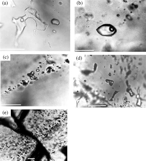 Photomicrographs Of Fluid Inclusions In Various Rocks From Dabie Shan