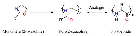 Structure Pseudo Peptidique Des Poly2 R 2 Oxazolines Download