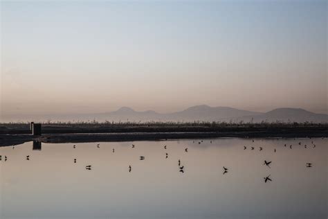 Parque Ecológico Lago De Texcoco Al Rescate Del Lago Un Ecosistema