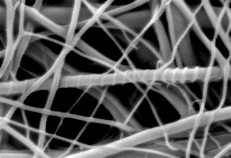 Bacteria Based Nanowires Will Lead To All Natural Chemical Free