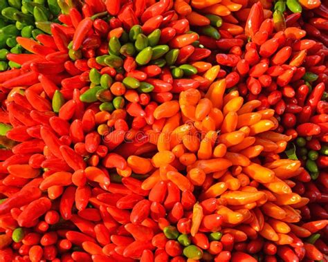 Bunches Of Hot Peppers At The Market Stock Image Image Of Group