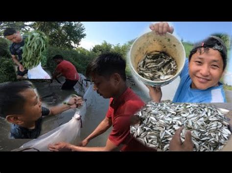 pothi fish  piray jhar youtube