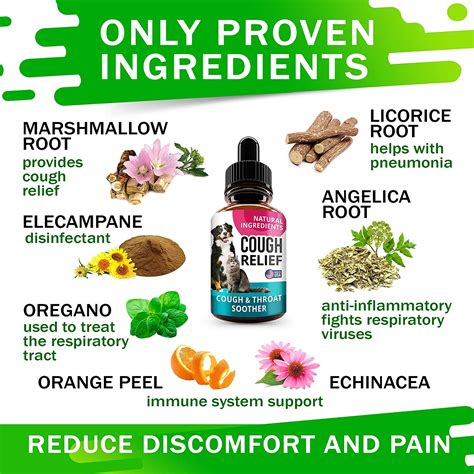 Are Cough Drops Safe For Dogs