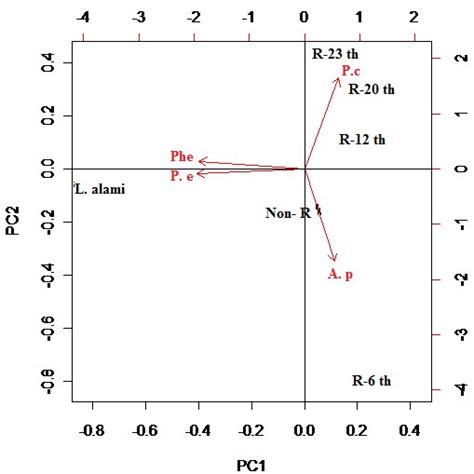 Morphology and anatomy of Pheretima sp .: prostomium epilobus (a), 4 ...