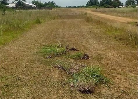 Wessex Grass Topper Helps Community Cut Off From Help Fairways