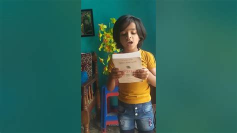 sapience book - YouTube