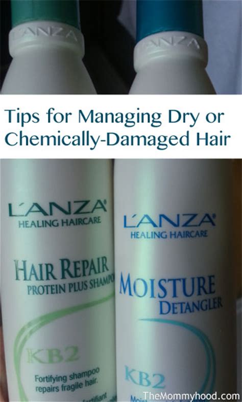 How To Fix Dry Chemically Damaged Hair