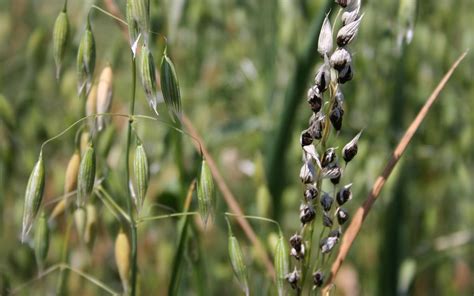 Проблема - докладніше