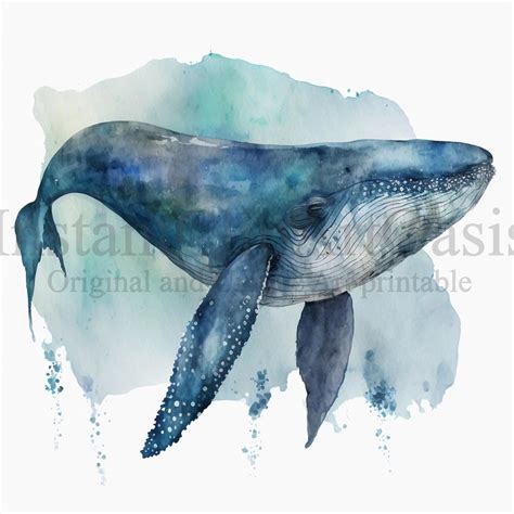 Whale Watercolor Etsy