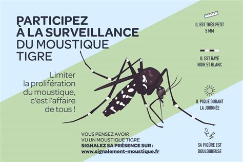 Auvergne Rh Ne Alpes Nos Conseils Pour Lutter Contre Le Moustique Tigre