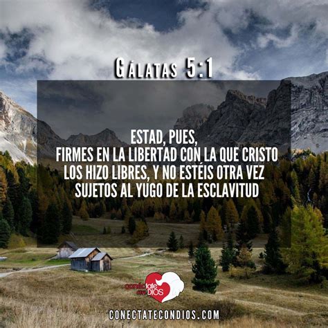 Los 7 Mejores Versículos De Liberación Conéctate Con Dios