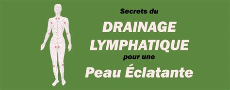 Secrets Du Drainage Lymphatique Pour Une Peau Éclatante Utilisez Les And Greenguasha