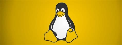 Qué es Linux Todo lo que necesita saber