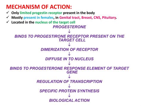 Estrogen And Progestin Female Sex Hormones Ppt