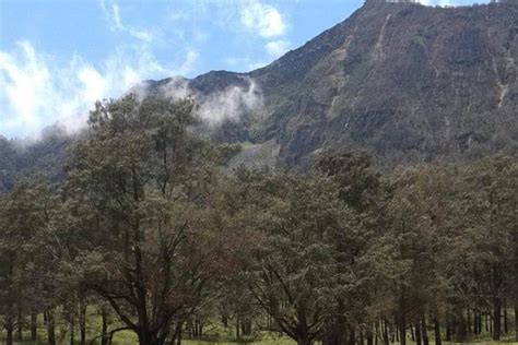 Wisata Khusus Buat Para Petualang Lembah Kijang Yang Eksotis Di Kaki