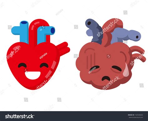 Unhealthy Heart And Healthy Heart Stock Photo Shutterstock