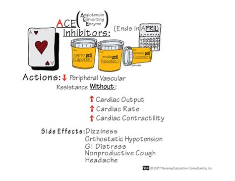 EXAM 3 Medication For Tissue Perfusion Flashcards Quizlet