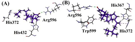 A Interactions Of Compound And B Interactions Of Compound In