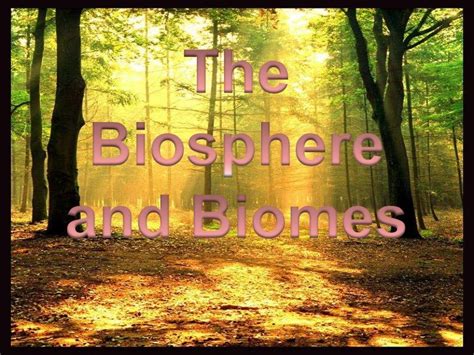 The biosphere and biomes