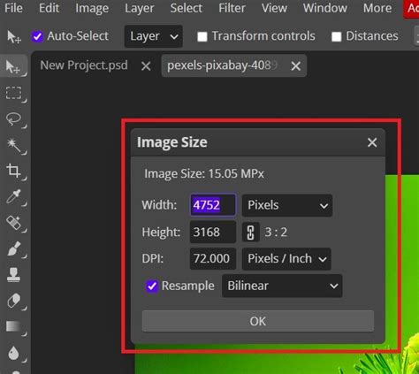 How To Resize An Image In Photopea Edits