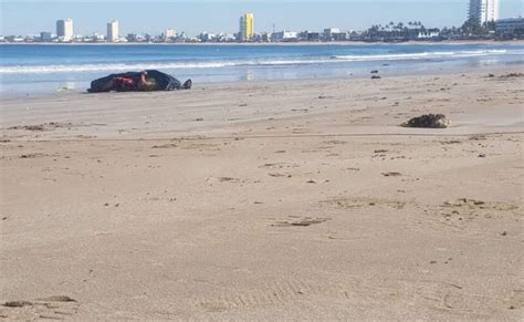 Muere joven ahogado en playa de Boca del Río este fin de semana xeu