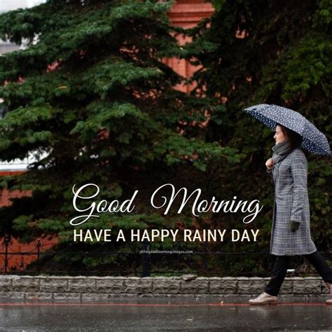 50 BEST Rainy Good Morning Images 2024 Rainy Good Morning Good