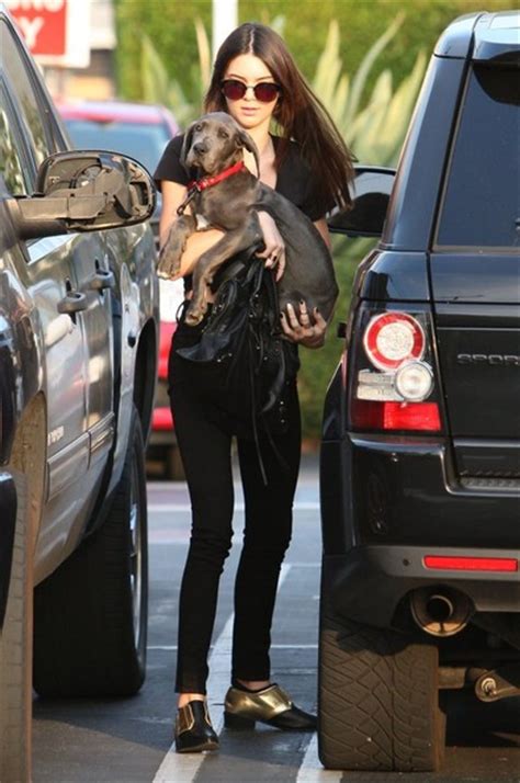 Kendall Jenner Loads Her Dog Into Her Rover | Celebrity Cars Blog