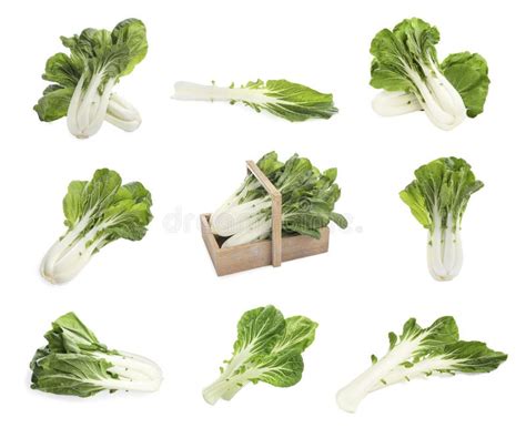 Collage With Fresh Pak Choy Cabbages And Leaves On White Background