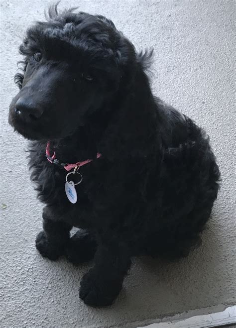 Remembering the Life and Legacy of Rhonda Douthett 39