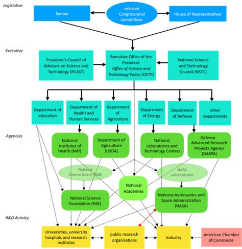 The Main Science Technology And Innovation Policy Actors In The United