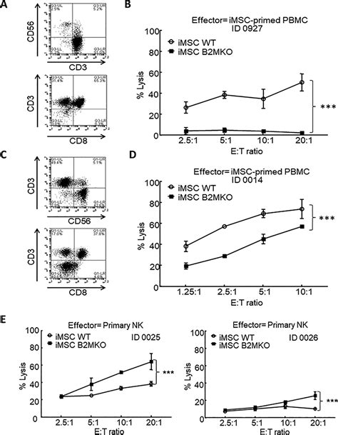 Generation Of Mesenchymal Stromal Cells With Low Immunogenicity From Human Pbmc Derived β2