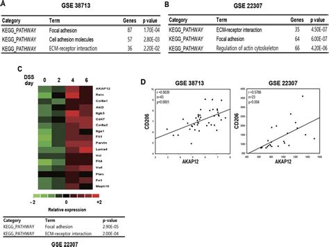 Bioinformatic Approach Showed The Active Alteration Of Mechanical