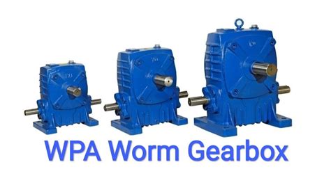 Wpa Worm Gearbox At Rs Piece Worm Gearbox In Rajkot Id