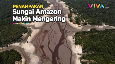 Sungai Amazon Kian Kering Terparah Dalam Lebih Dari Seabad YouTube