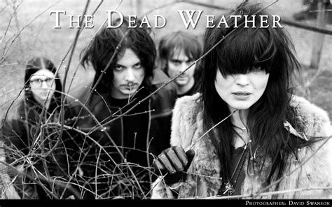 The Dead Weather - The Dead Weather Wallpaper (27522954) - Fanpop