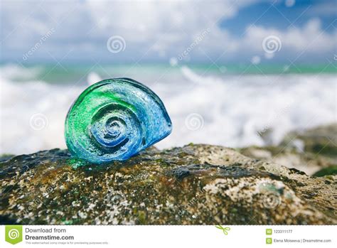 Glass Tropical Sea Shell With Waves Under Sun Light Stock Image Image