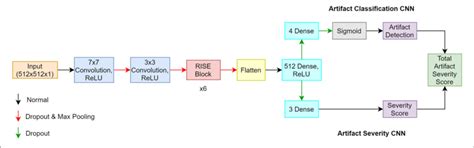 Architecture Of Proposed Algorithm Where The Classification Cnn Is Download Scientific