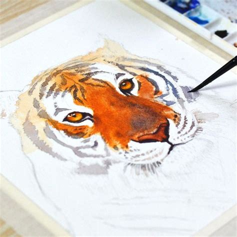 Kembart Drawing Studio on Instagram: “Tiger Process 🎨 The tiger is one of my favorite animals ...