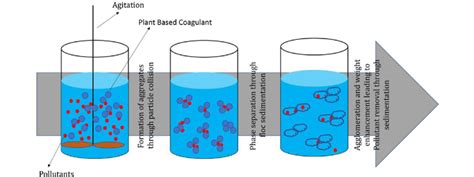 Illustrative representation of the coagulation process | Download ...