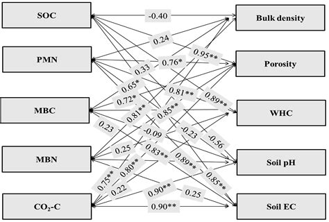 Agronomy Free Full Text Long Term Integrated Nutrient Management In The Maizewheat Cropping