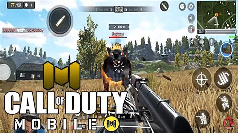 BATTLE ROYALE CALL OF DUTY MOBILE ENFRENTEI O CÃO DO CAPIROTO